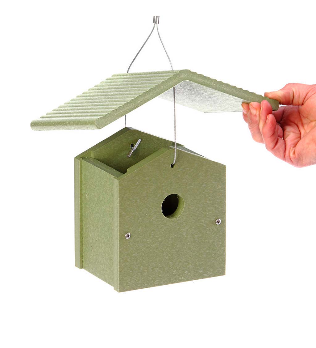 DIY Birdhouse Construction Kit