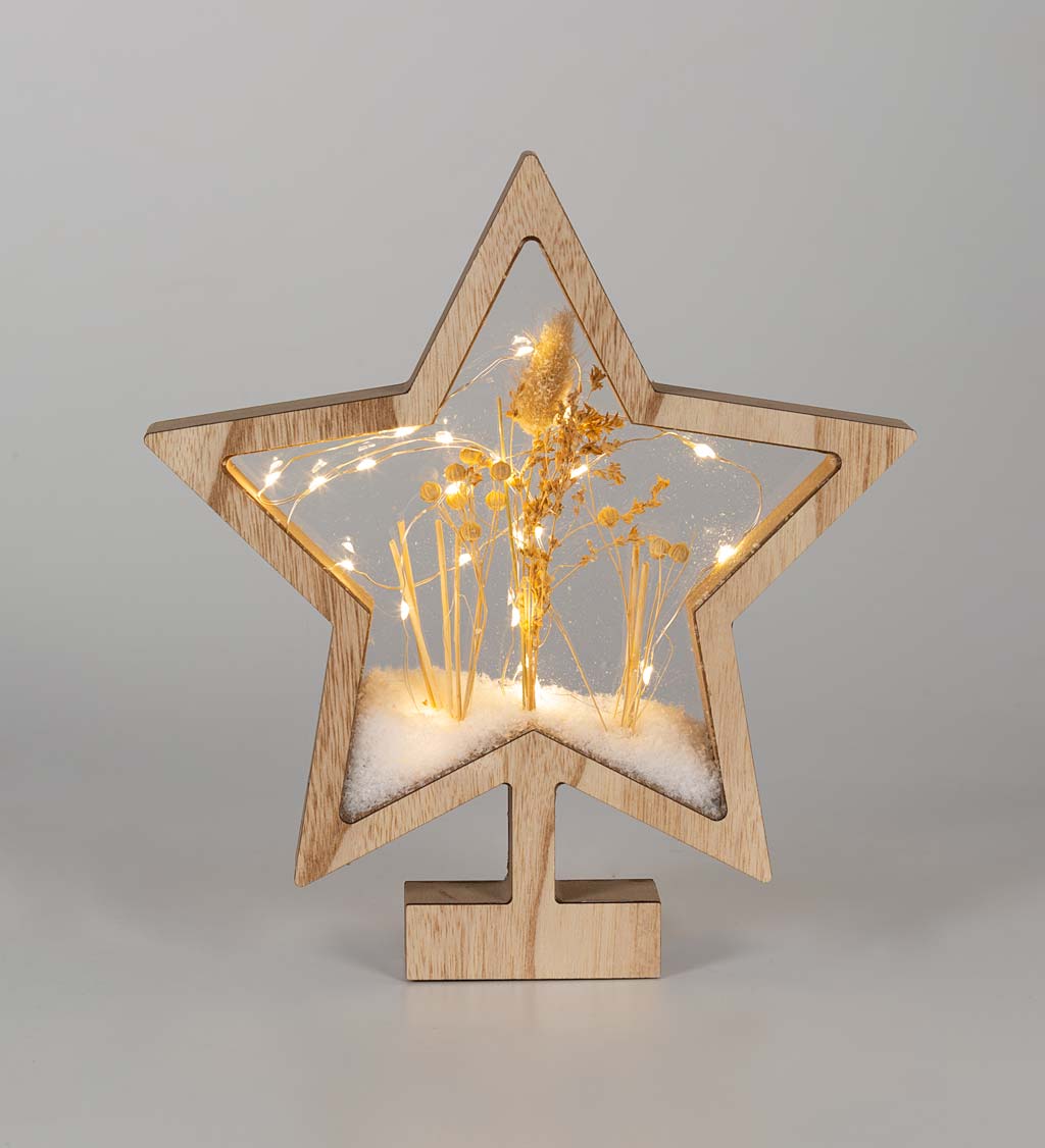 Wooden LED Holiday Star with Fairy Lights