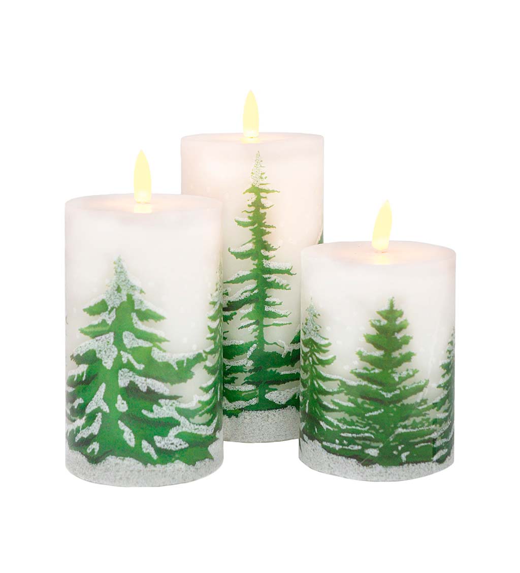 Evergreen LED Candles, Set of 3