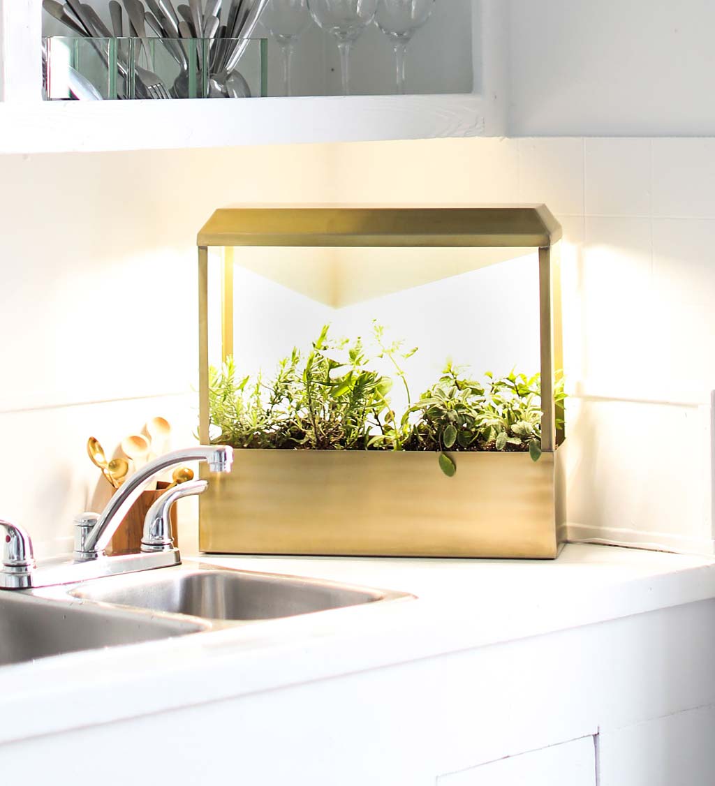 Modern Sprout Brass-Plated Indoor Smart Growhouse