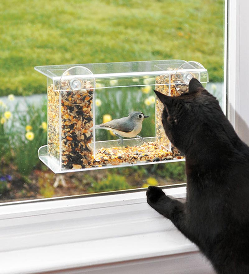Bird Feeder Clear Window Feeding Squirrel Birdhouse With Suction Tray #3 