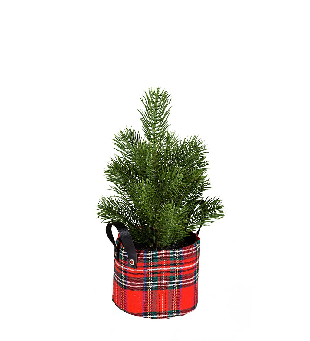 Holiday Pine Trees in Plaid Pots, Set of 2