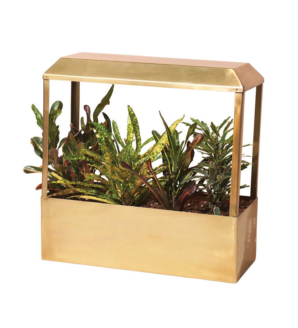 Modern Sprout Brass-Plated Indoor Smart Growhouse - Brass