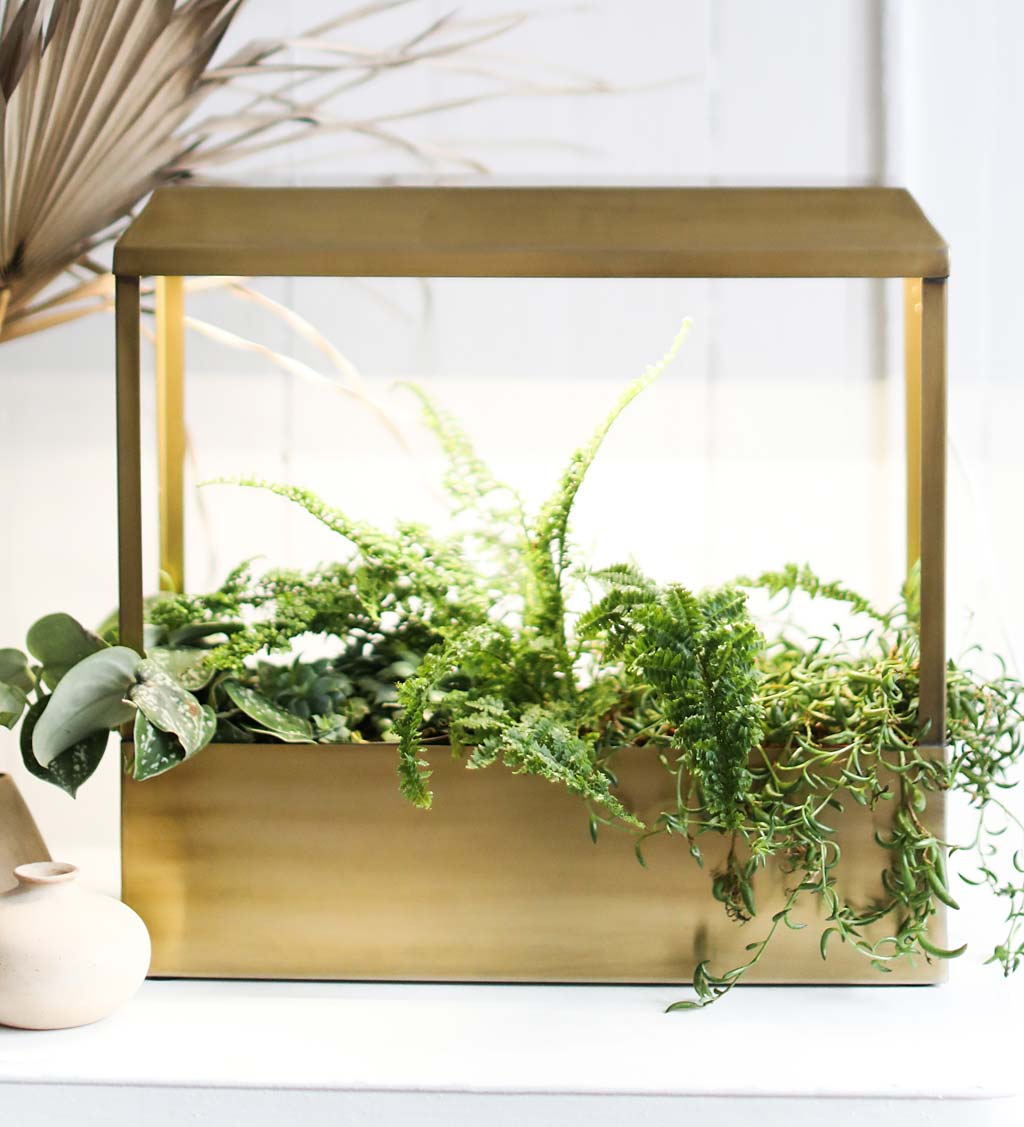 Modern Sprout Brass-Plated Indoor Smart Growhouse