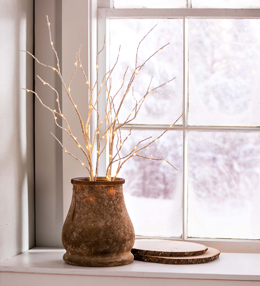 Indoor/Outdoor Lighted Birch Branches, Set of 2 swatch image