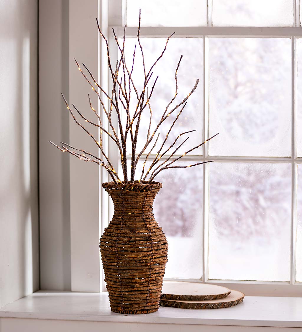 Indoor/Outdoor Lighted Birch Branches, Set of 2 swatch image