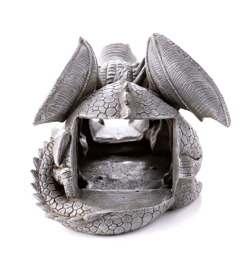 Dragon Downspout Cover