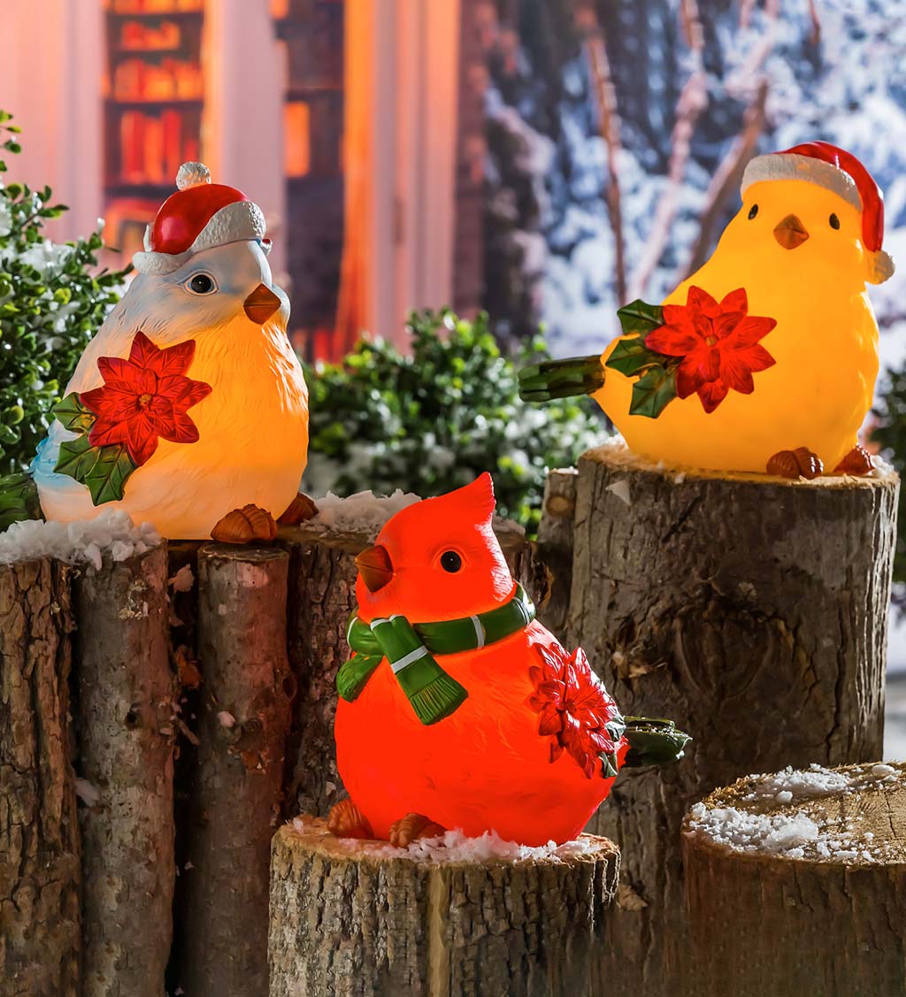 Lighted Holiday Portly Birds, Set of 3