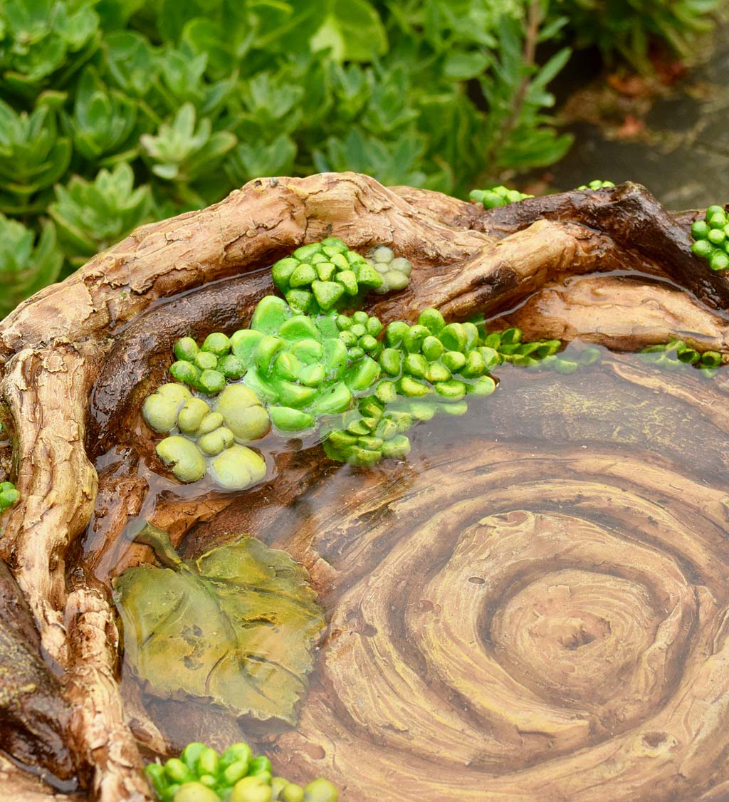 Realistic Bird's Nest Tree Stump Birdbath with Faux Succulents