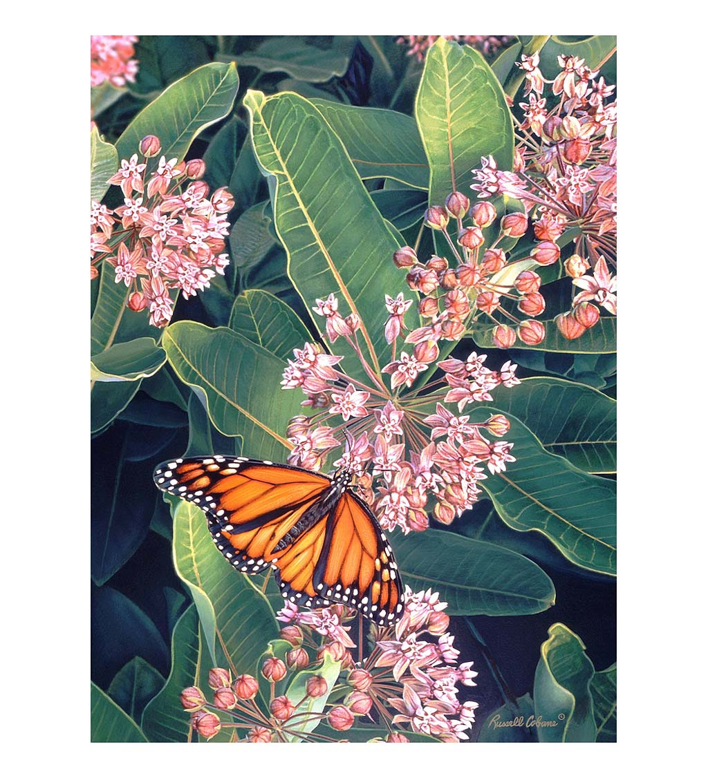 Monarch on Milkweed 1000-Piece Puzzle