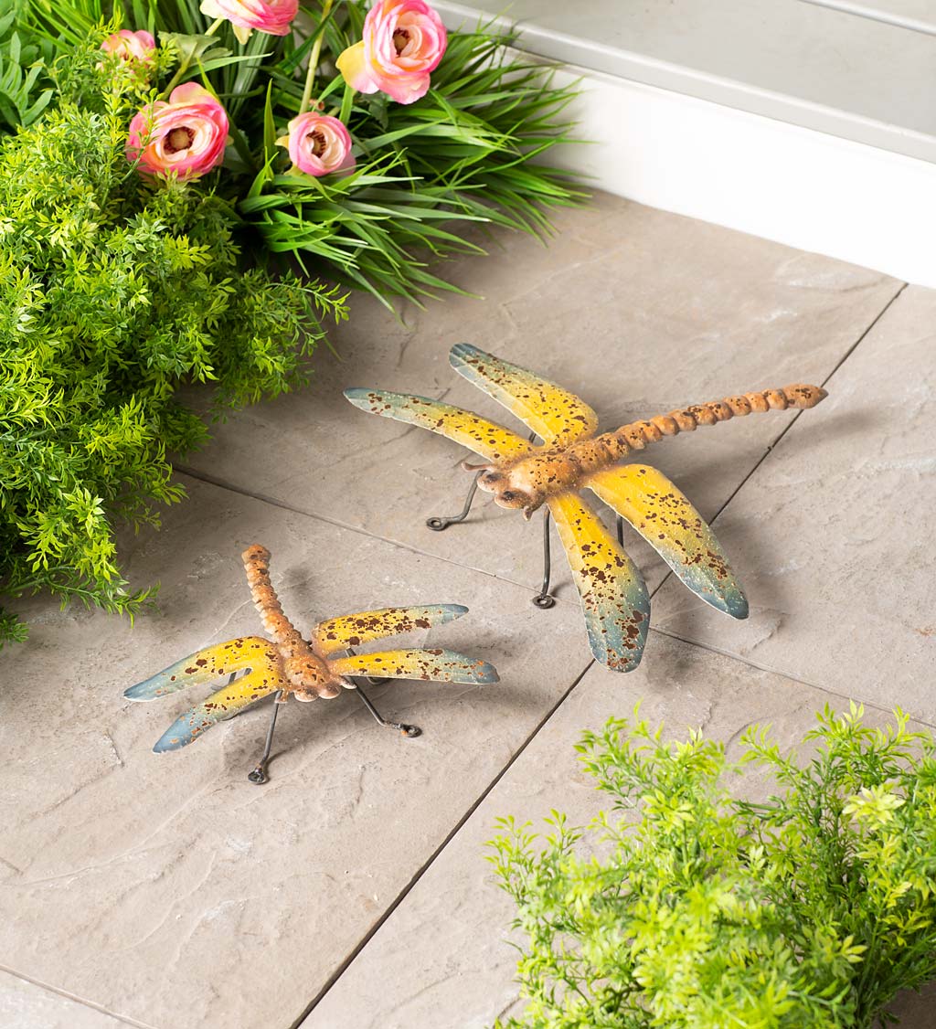 Rustic Metal Dragonflies for Wall Hanging or Tabletop, Set of 2