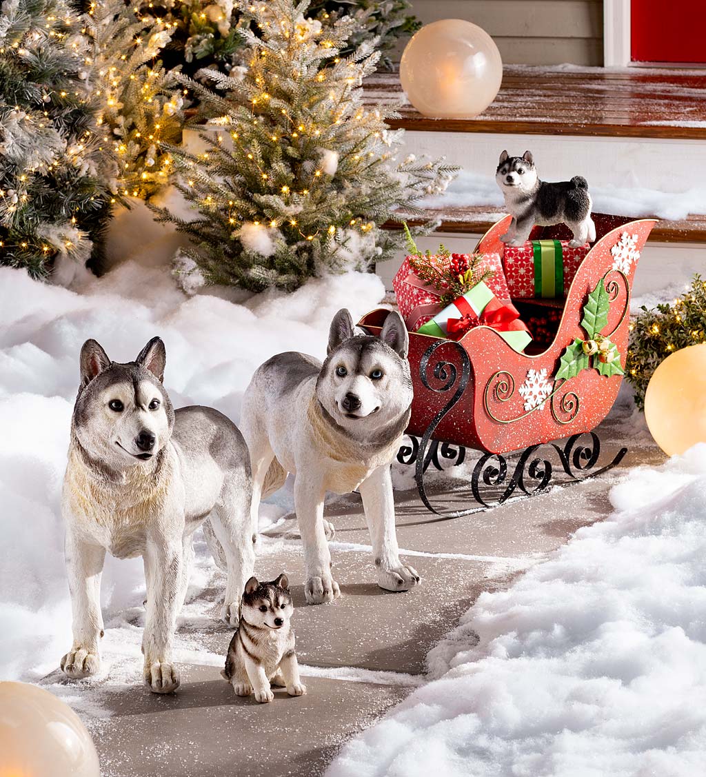 Two Adult Husky Statues with Red Metal Sleigh Decorative Set