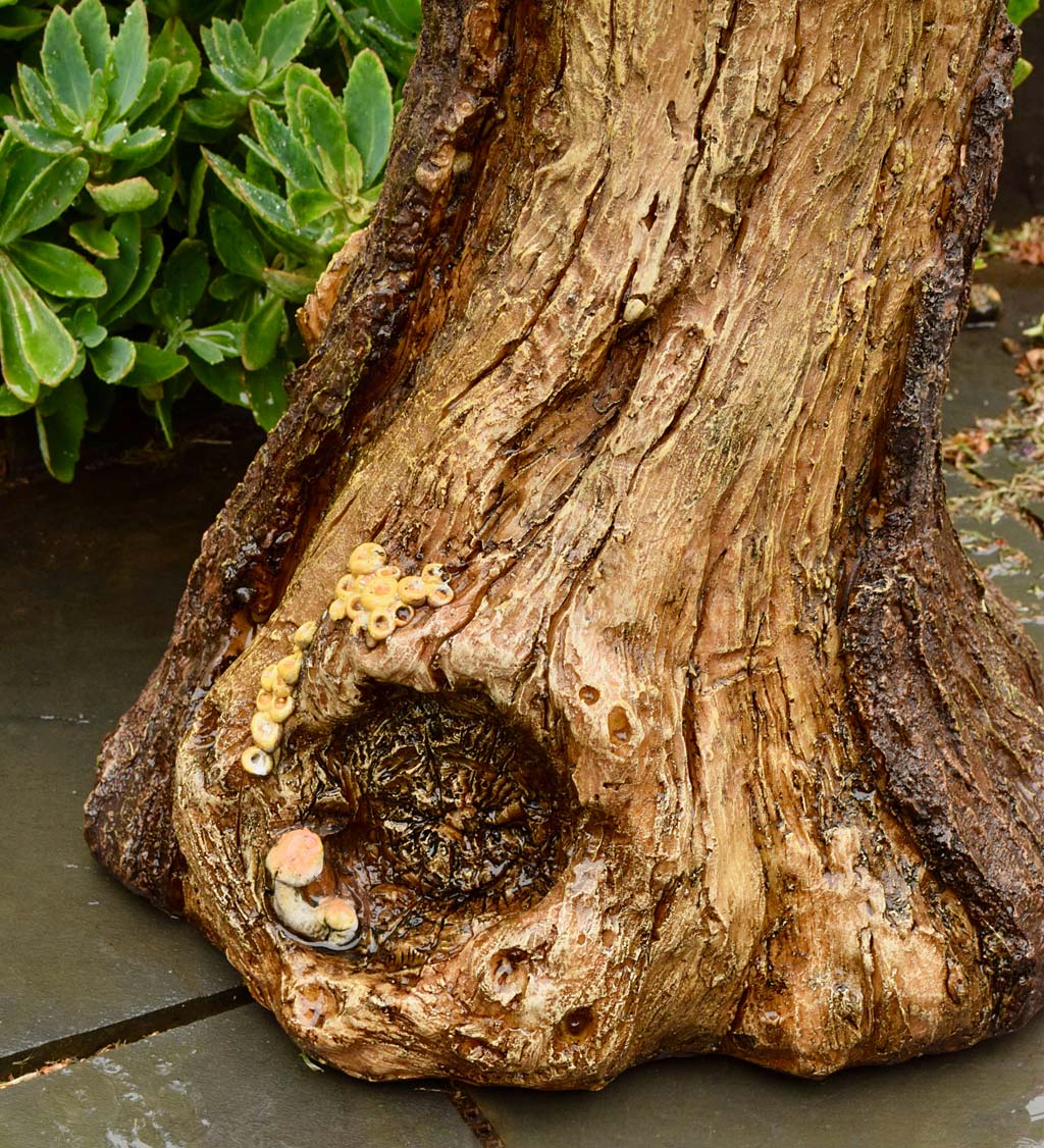 Realistic Bird's Nest Tree Stump Birdbath with Faux Succulents