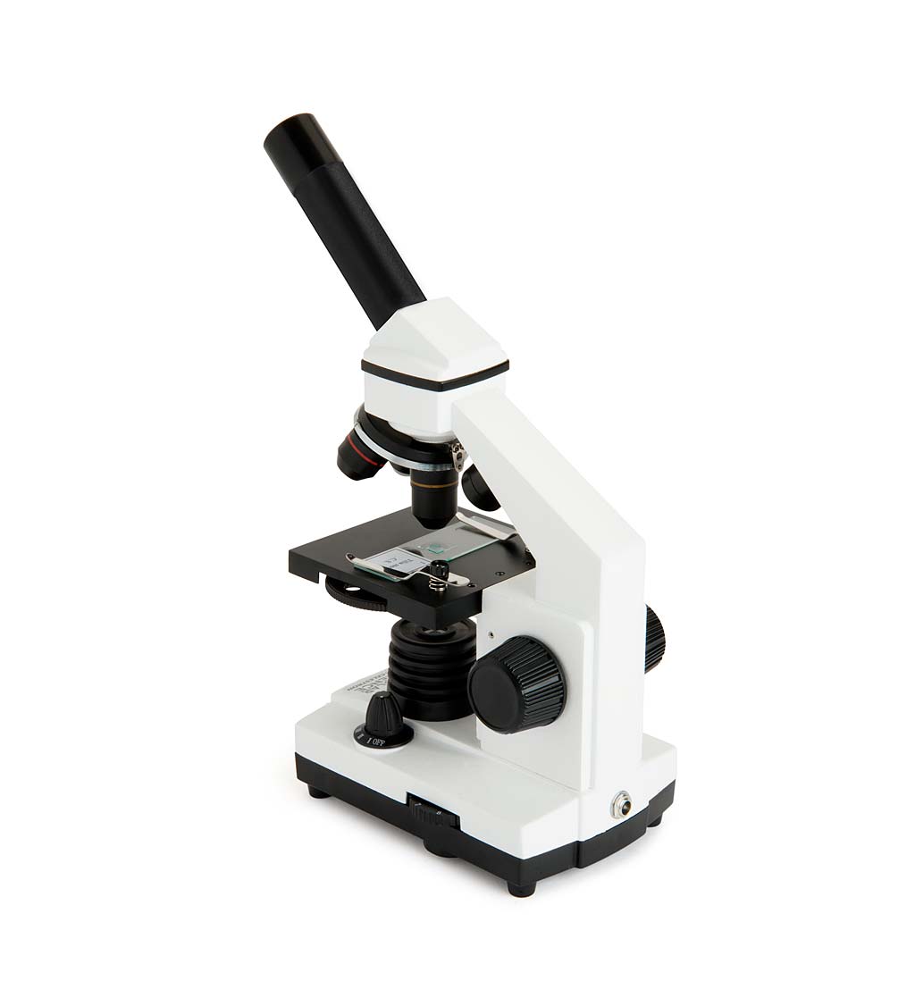 Compound Microscope with LED Illumination and Smartphone Adapter