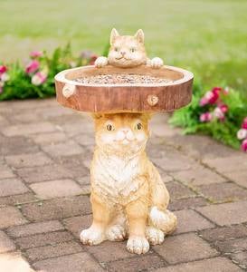 CAT Kitten play in the fountain Garden Bird Cute Yard Russian Modern Postcard