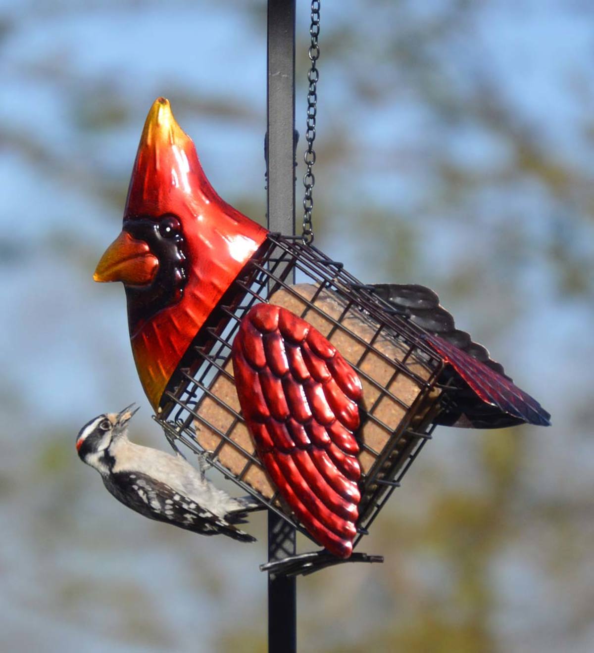 Metal Cardinal Suet Bird Feeder