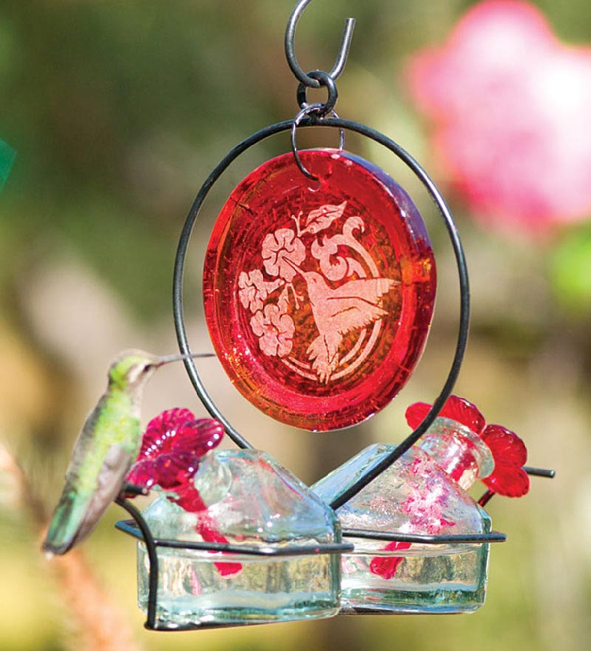 Red Medallion Glass Hummingbird Feeder