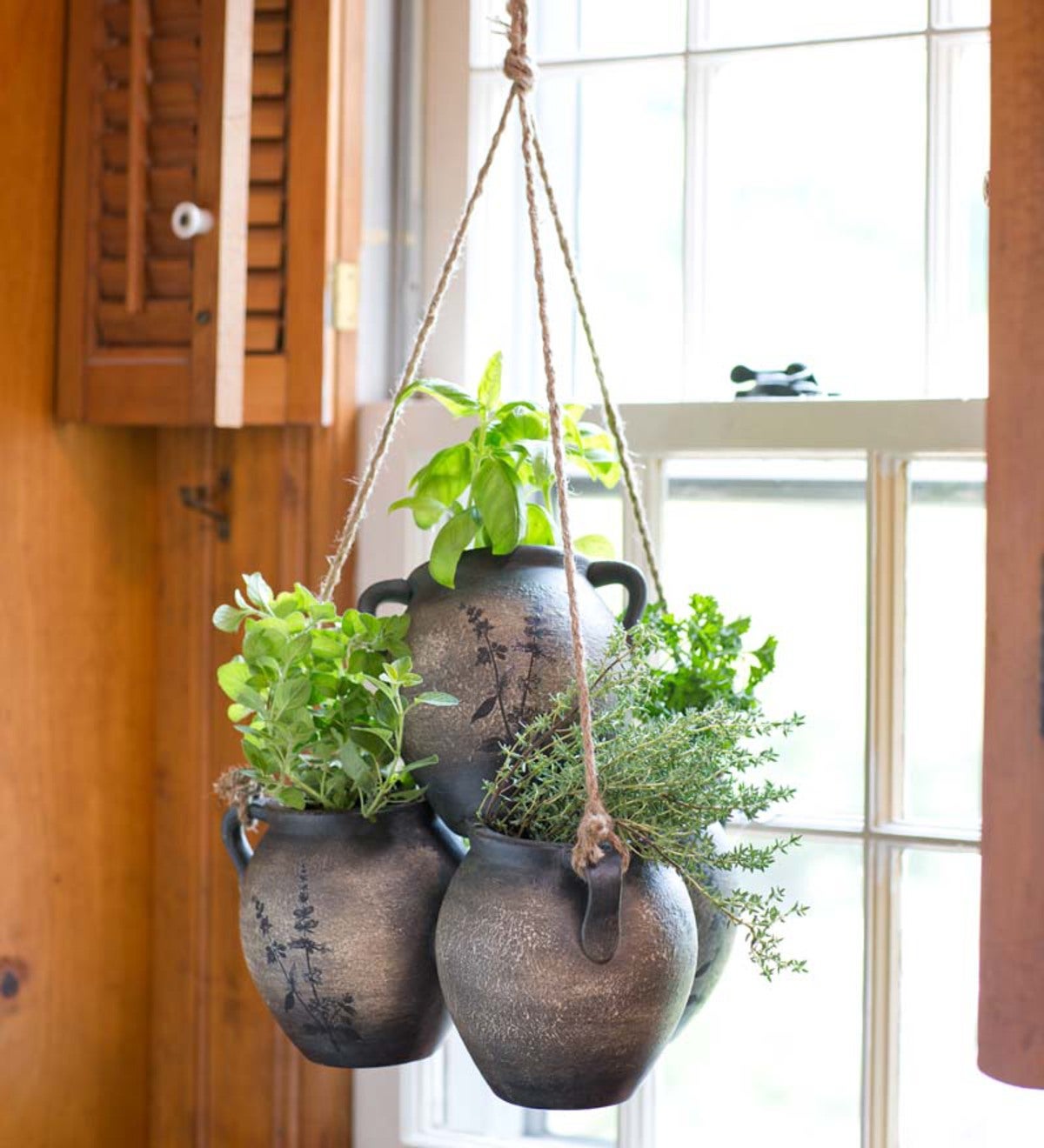 Hanging Clay Herb Planter Kit
