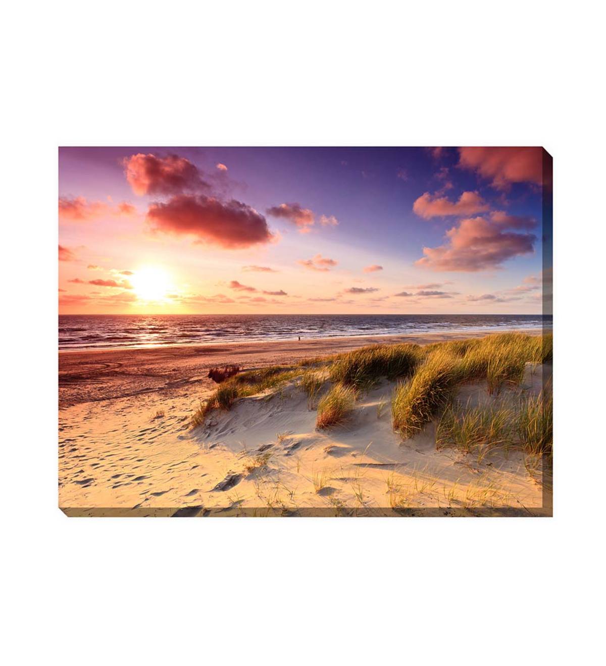Windswept Outdoor Photographic Canvas Wall Art