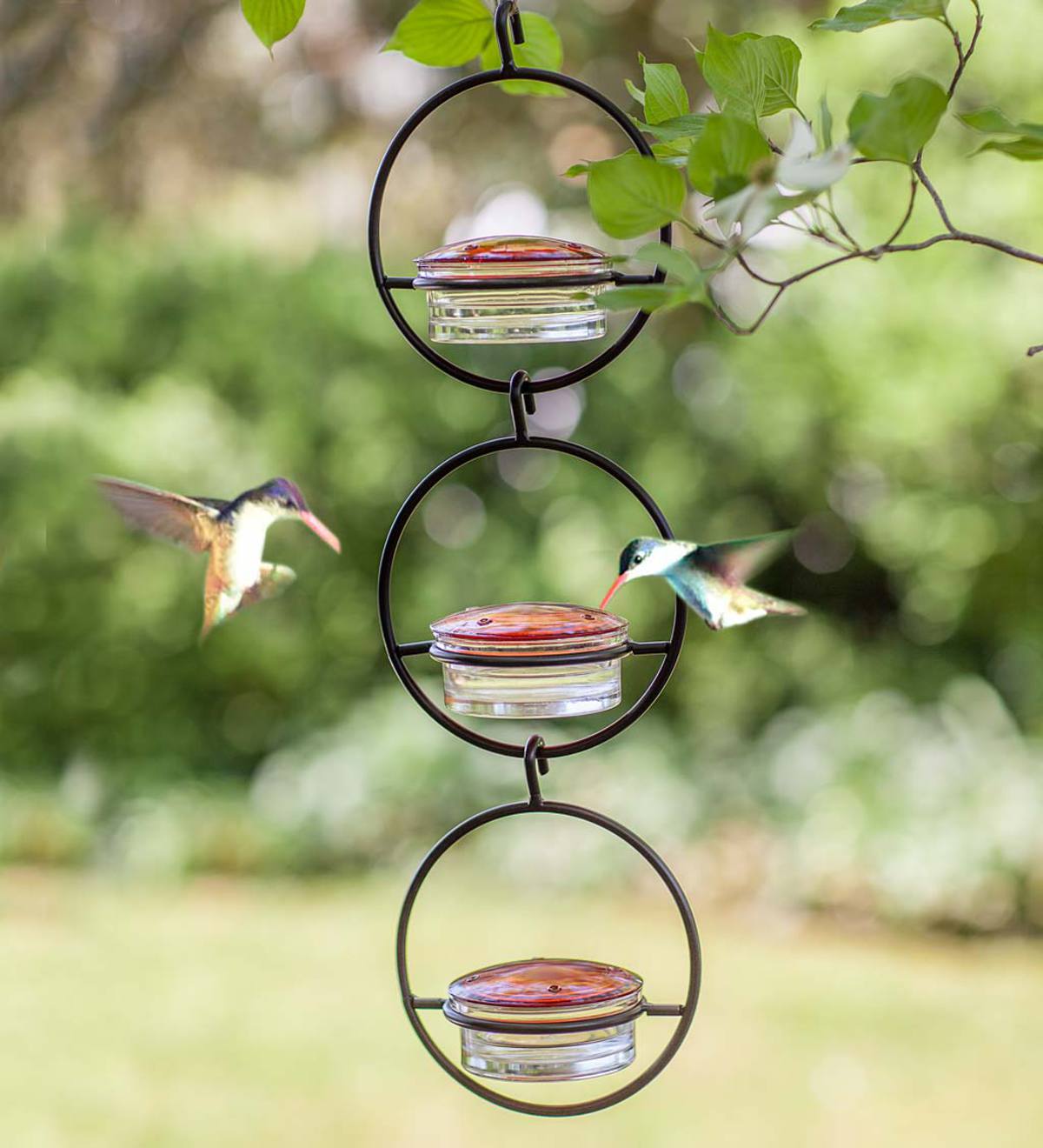 Give Hook & Ant Moat Upgraded Leakproof 26 Ounces Hapito Hummingbird Feeder Garden Humming Bird Feeder for Outside Hand Blown Glass Hummingbird Feeders for Outdoors Hanging