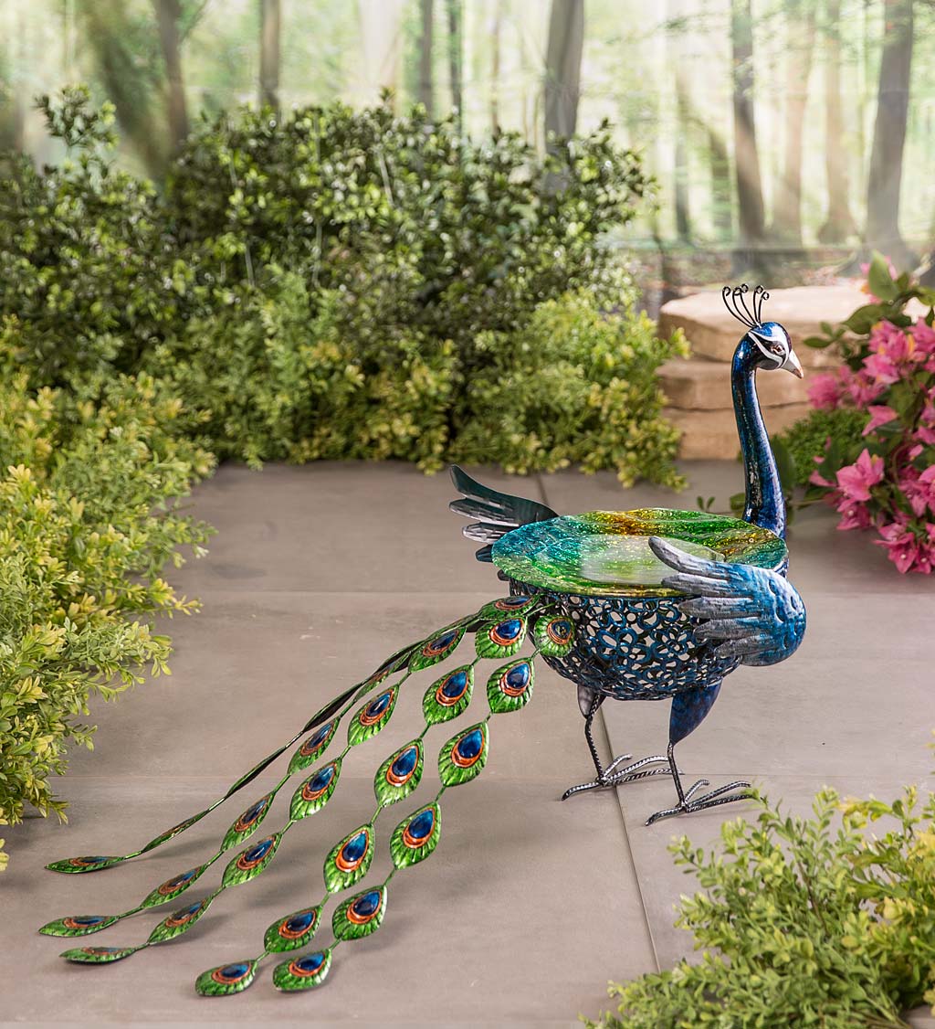 100cm tall; 30cm glass bowl Bird Feeder X-Large Colourful Peacock Bird Bath 