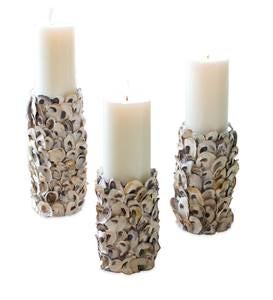 Oyster Shell Candle Holders, Set of 3