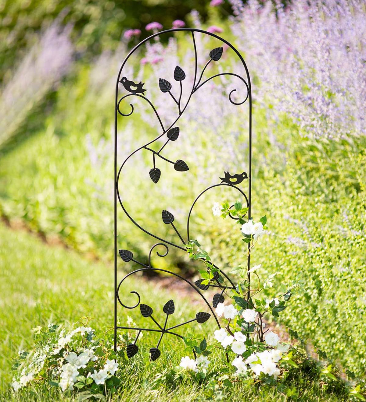 Wrought Iron Powder-Coated Birds and Vines Trellis | Wind and Weather