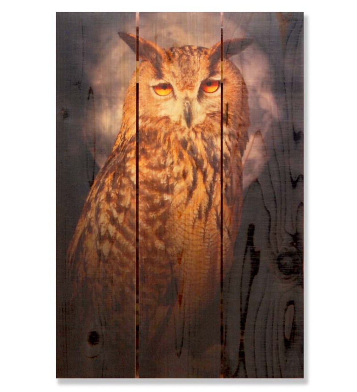 Handcrafted Owl Wooden Wall Art by Gizaun Art™