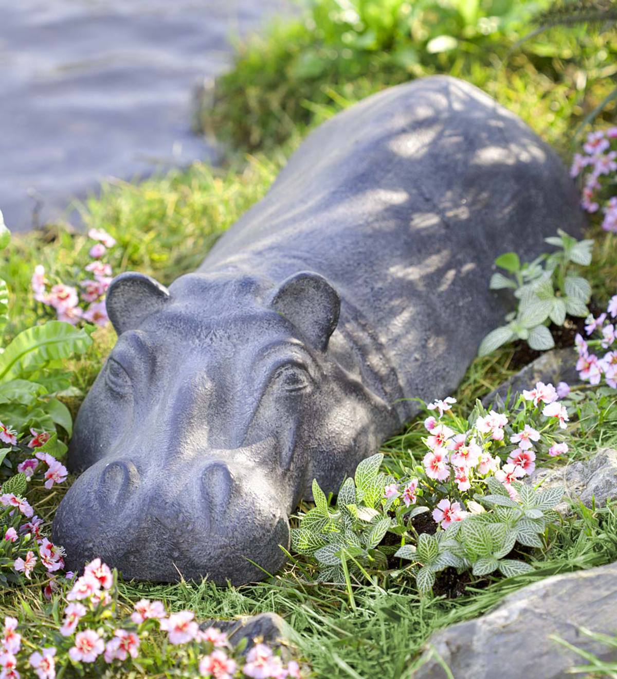 Swimming Hippo Resin Garden Sculpture - Free 2 Day Amazon Delivery | Wind  and Weather