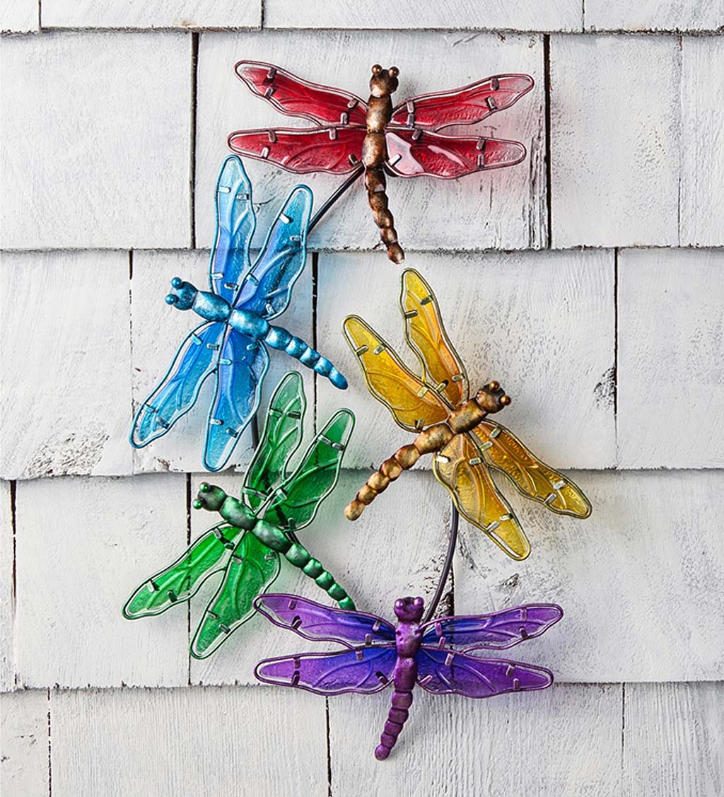 Fused Glass Dragonfly on Driftwood with Succulents