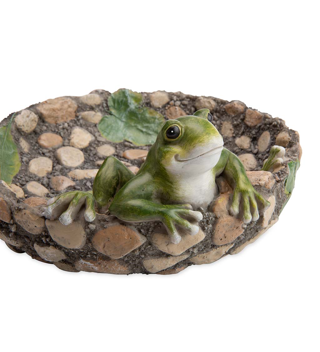 Happy Frog Tabletop Birdbath