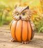 Owl in a Pumpkin Sculpture