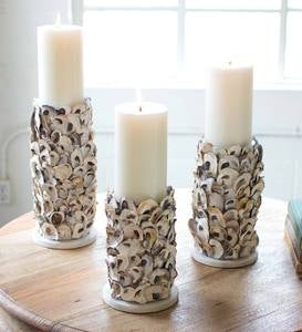 Oyster Shell Candle Holders, Set of 3