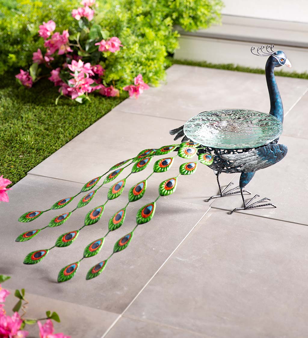 Vibrant Metal Peacock Birdbath with Glass Bowl