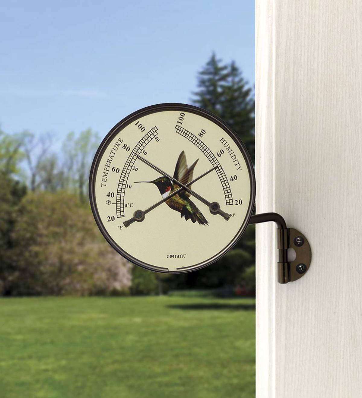 Hummingbird Wall-Mount Thermometer and Hygrometer
