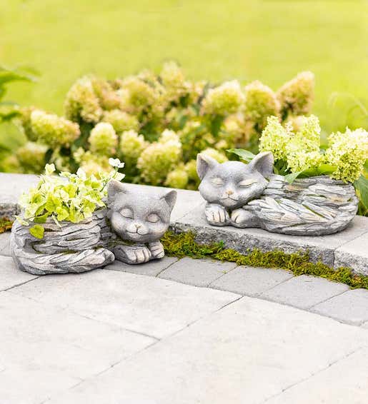 Lifestyle Image of Cat Planters