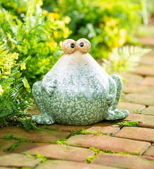 Lifestyle Image of Big Eyes Ceramic Frog