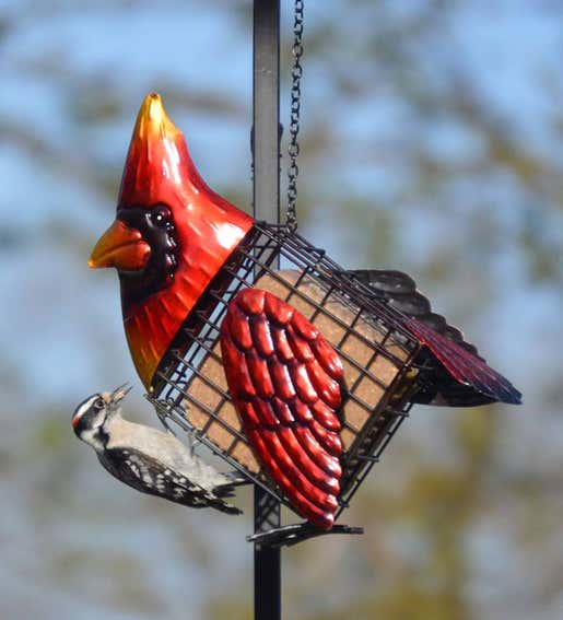 Image of metal cardinal-shaped suet bird feeder. Shop Gifts For Bird Lovers