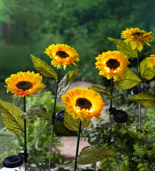 Lifestyle Image of Solar-Powered Sunflower Garden Stake