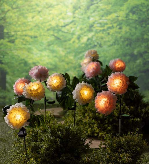 Lifestyle Image of Lighted Peony Garden Stakes
